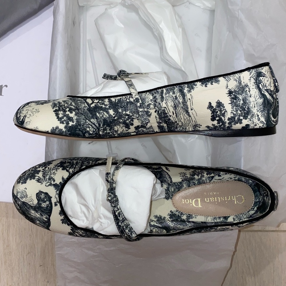 Dior Toile de Jouy satin ballet flats